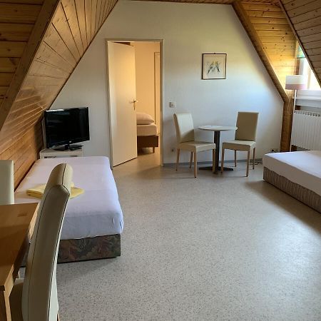 Gaestehaus An Der Rheinbruecke Altlussheim Екстериор снимка