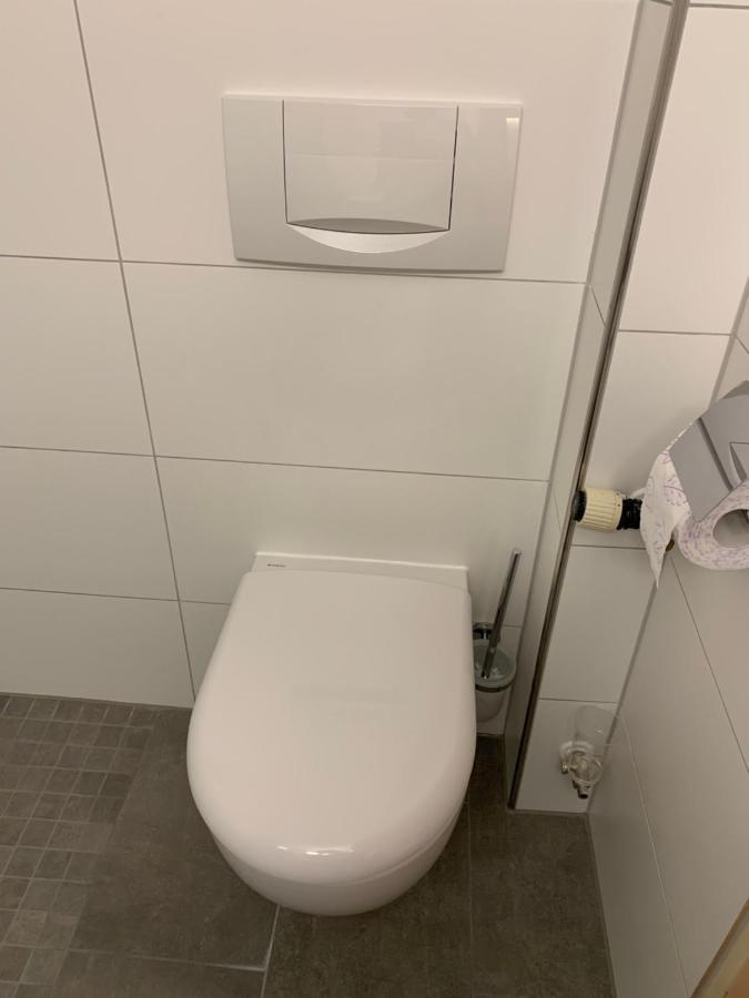 Gaestehaus An Der Rheinbruecke Altlussheim Екстериор снимка